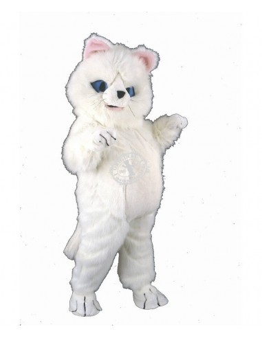 Katze Kostüm Maskottchen 33a (Hochwertig)