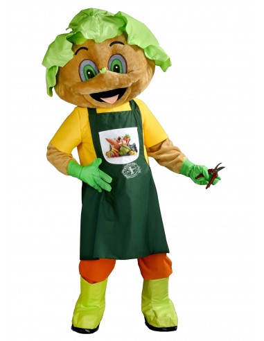 241b Mascota del traje de Hombre de ensalada comprare a buon mercato