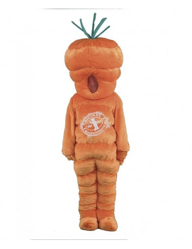 110b mascotte costume carotte acheter pas cher