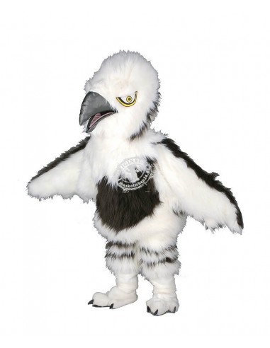 144b Mascota del traje del águila  comprare a buon mercato