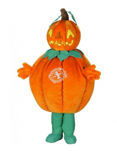 Pumpkin mascot costume (advertising character)