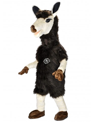 228b2 Mascota del traje del lama comprare a buon mercato