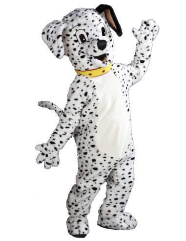 Dalmatien Costume Mascotte 10a (Haute Qualité)
