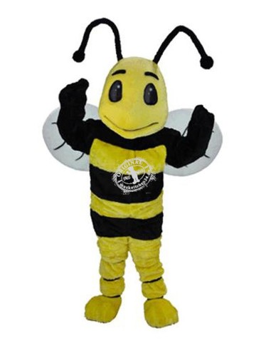 Bee Mascot Costume (Professional)
