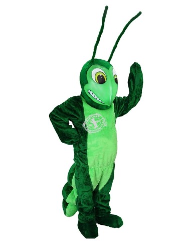 Grashüpfer Kostüm Maskottchen (Werbefigur)
