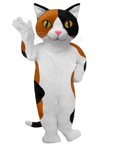 Cat Costume Mascot 10 (Advertising Character)