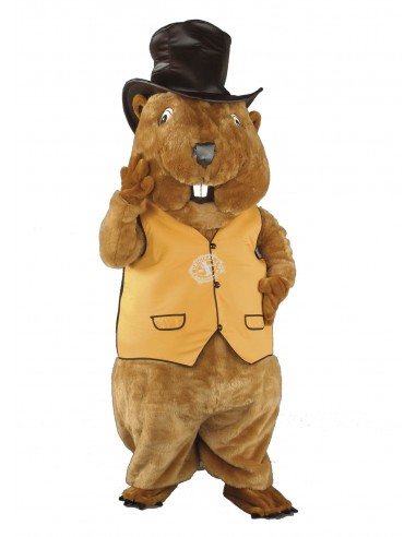135b Beaver Costume Mascot buy cheap