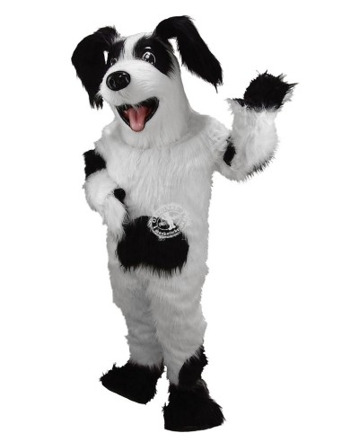 Hund Kostüm Maskottchen 3 (Werbefigur)