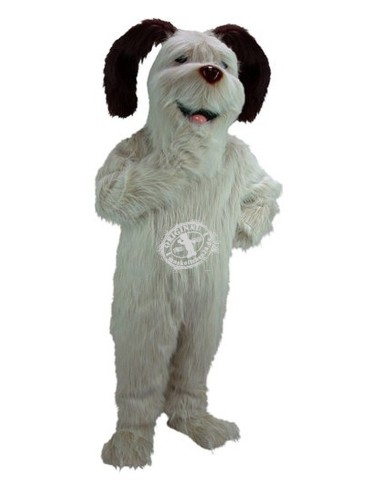 Hund Kostüm Maskottchen 5 (Werbefigur)