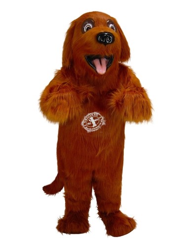 Hund Kostüm Maskottchen 12 (Werbefigur)