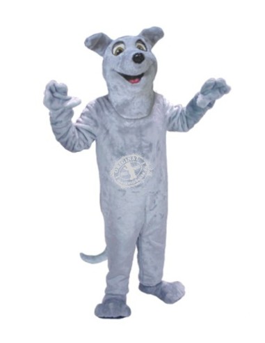 σκύλος Κοστούμι μασκότ 14 (διαφημιστικός χαρακτήρας)