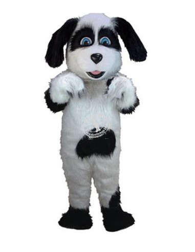 Hunde Maskottchen Kostüm 26 (Professionell)