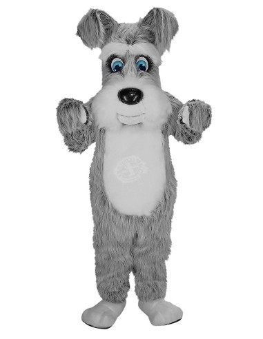 Terrier Hund Kostüm Maskottchen 30 (Werbefigur)