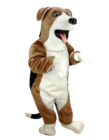 Beagle Hund Kostüm Maskottchen 34 (Werbefigur)