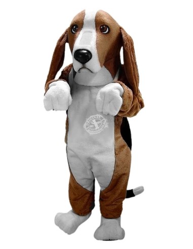 ράτσα αγγλικού λαγωνικού σκύλος Κοστούμι μασκότ 35 (διαφημιστικός χαρακτήρας)