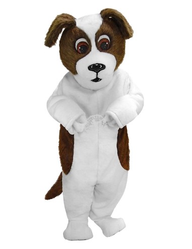 Bernhardiner Hund Kostüm Maskottchen 36 (Werbefigur)