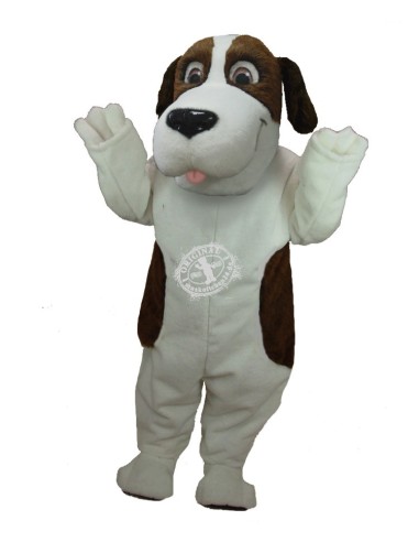 Bernhardiner Hund Kostüm Maskottchen 37 (Werbefigur)