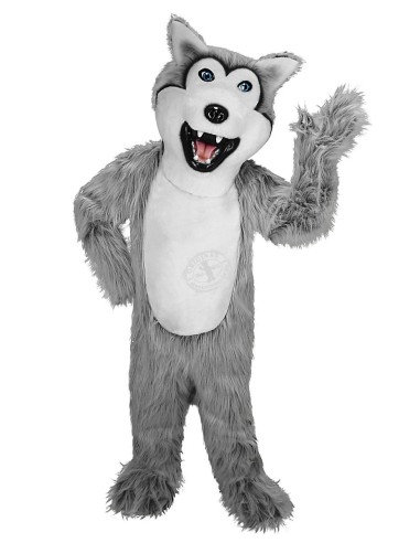 Husky Hund Kostüm Maskottchen 38 (Werbefigur)