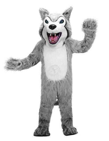 Husky Cane Costume Mascotte 39 (Personaggio Pubblicitario)