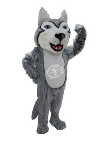 Husky Hunde Maskottchen Kostüm 40 (Professionell)