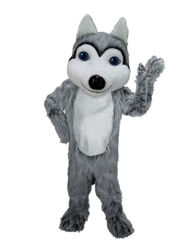 Husky Hunde Maskottchen Kostüm 42 (Professionell)