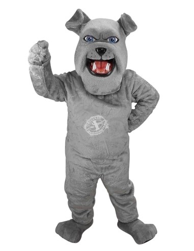 Bulldogge Hund Kostüm Maskottchen 47 (Werbefigur)