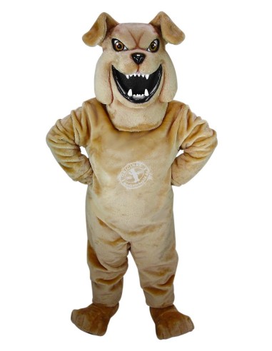 Bulldogge Hund Kostüm Maskottchen 50 (Werbefigur)