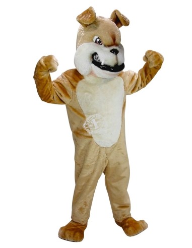 Bulldogge Hund Kostüm Maskottchen 51 (Werbefigur)