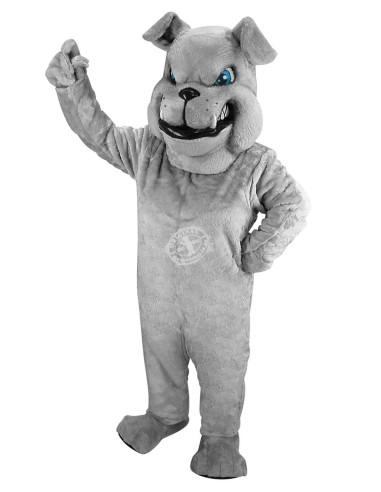 Bulldogge Hund Kostüm Maskottchen 52 (Werbefigur)