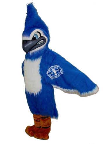 Blauhäher Vogel Kostüm Maskottchen 2 (Werbefigur)