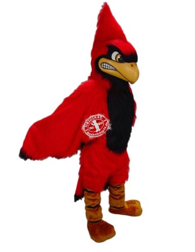 Κόκκινος Καρδινάλιος πουλί Κοστούμι μασκότ 2 (διαφημιστικός χαρακτήρας)