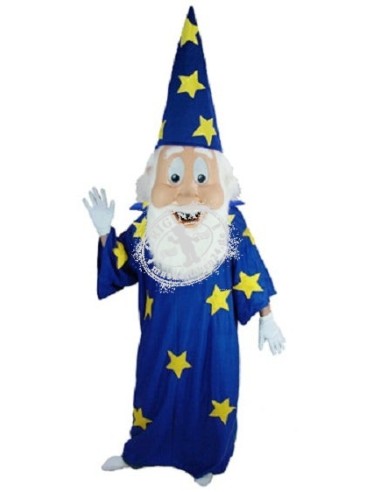Wizard Person Costume Mascot (Advertising Character)