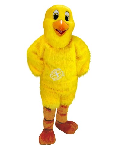 Chicken / Hen Costume Mascot 5 (Advertising Character)
