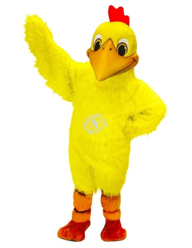 Chicken / Hen Costume Mascot 6 (Advertising Character)