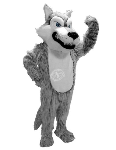 Loup Costume Mascotte 1 (Personnage Publicitaire)