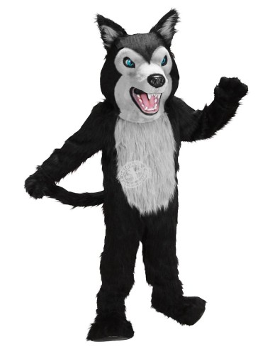 Lobo Disfraz de Mascota 5 (Personaje Publicitario)
