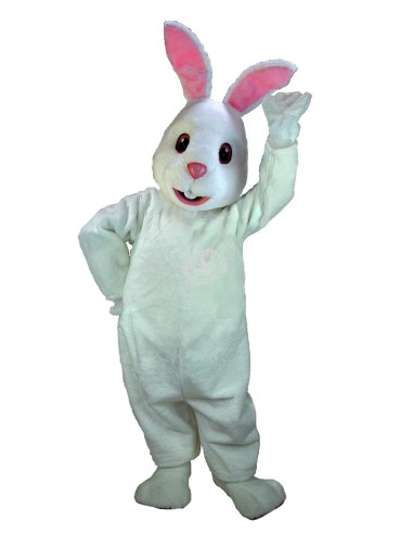 Conejos Disfraz de Mascota 34 (Profesional)