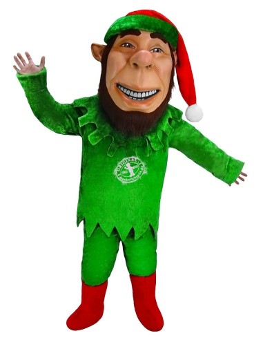 Elfes Personne Costume Mascotte 1 (Personnage Publicitaire)