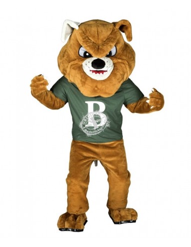 264b Bulldog Costume Mascot buy cheap