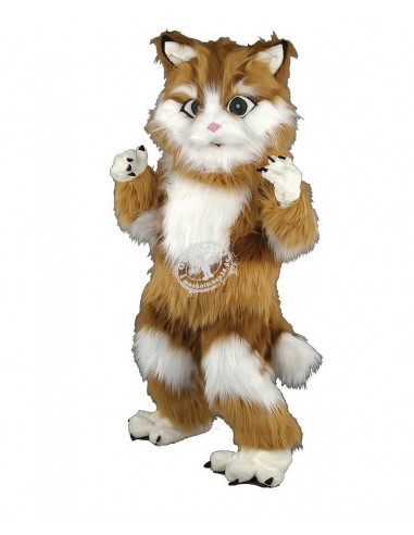 134b2 Kat Costume Mascot goedkoop kopen