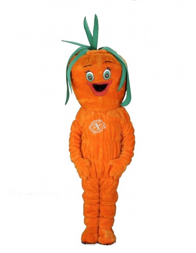 189a Wortel Costume Mascot goedkoop kopen