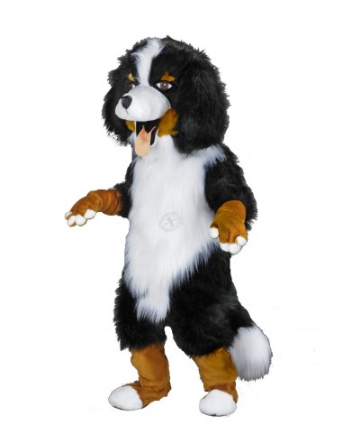213b Bernese Mountain Dog Costume Mascot buy cheap